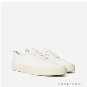Everlane the forever sneaker